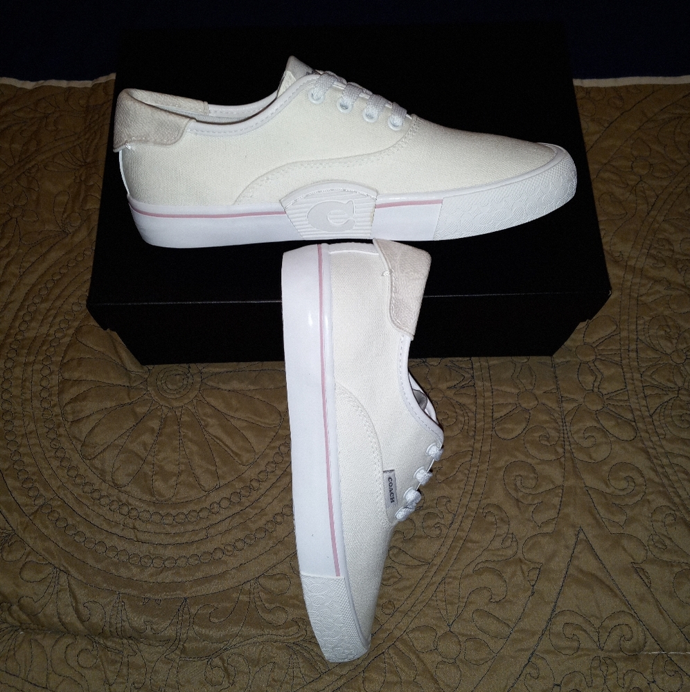 Coach CitySole Skate Sneakers - Picture 11 of 14